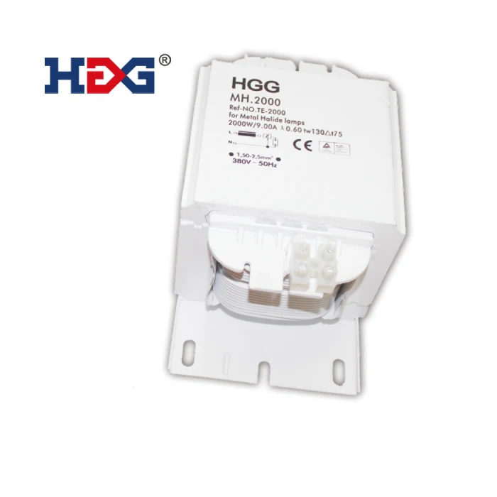 HGG-TE-D 2000W