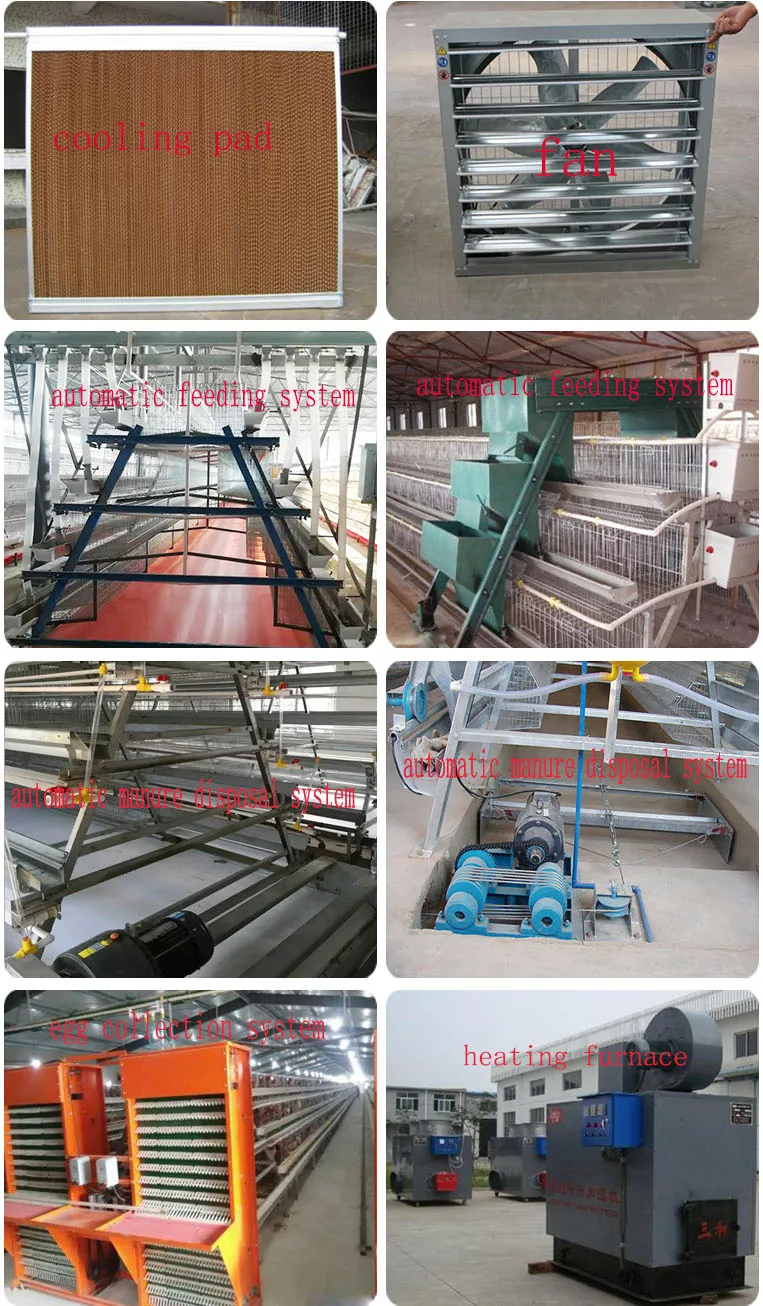 A type 4 tier chicken layer cages pigeon breeding battery cage for poultry farm