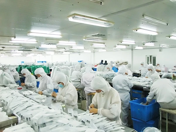 Yiguang factory (17)