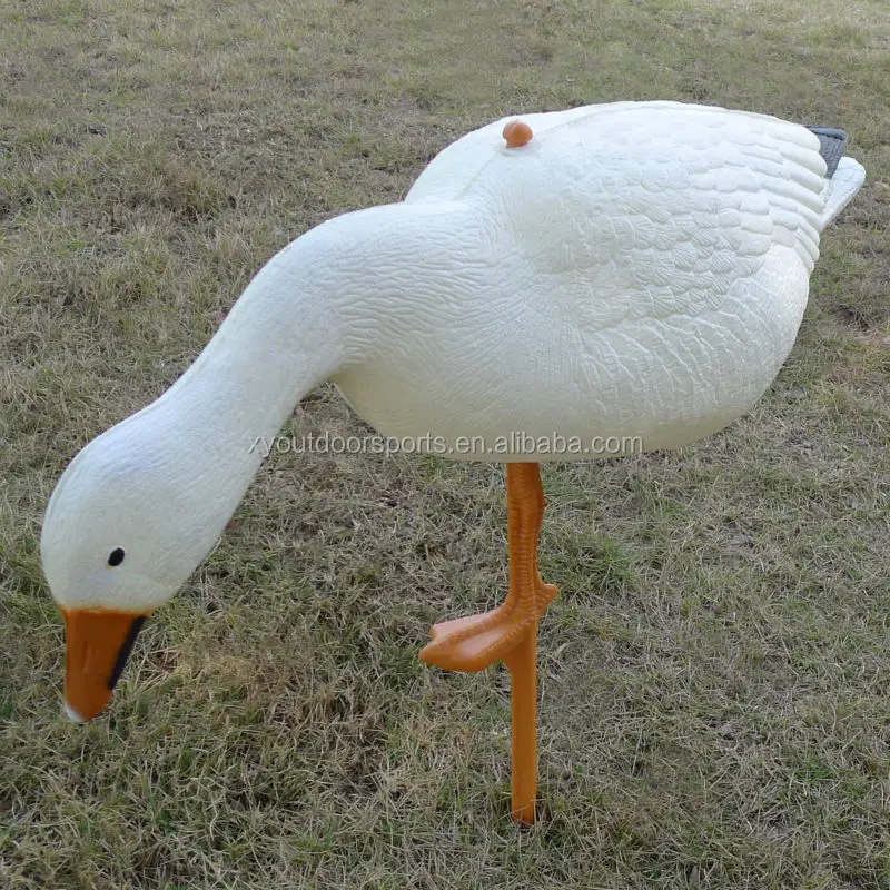 Supply Canada Goose Decoys,Hunting Decoys Goose,Xpe Foam Goose Hunting Decoys Buy Canada Goose Decoys,Goose Decoys,Hunting Goose Decoys Product on Supply Canada Goose Decoys,Hunting Decoys Goose,Xpe Foam Goose Hunting Decoys Buy Canada Goose Decoys,Goose Decoys,Hunting Goose Decoys Product on