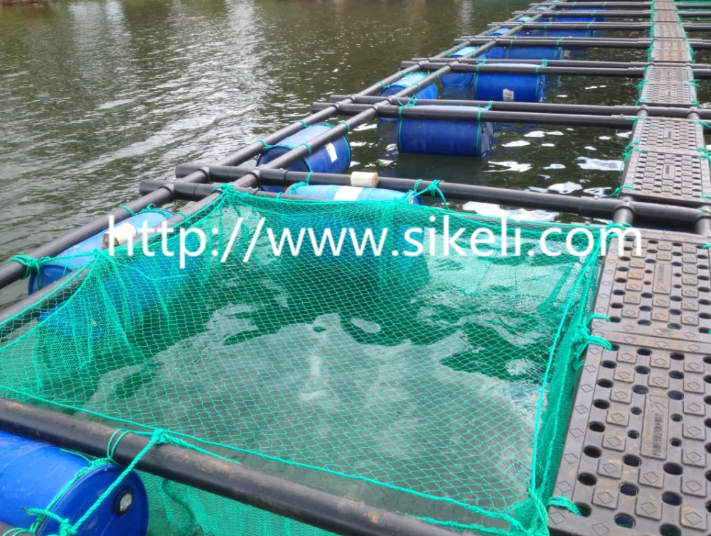 Tilapia Farm Fingerlings Farming Cage With Pe Net In Lake Harvest Buy