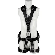 safety harness (2).JPG