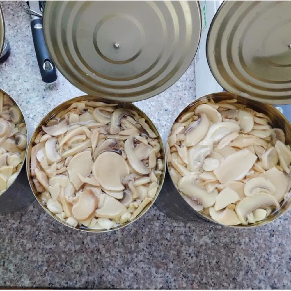 Fresh Pack Canned Mushroom Champignons King Oyster In Water Canned