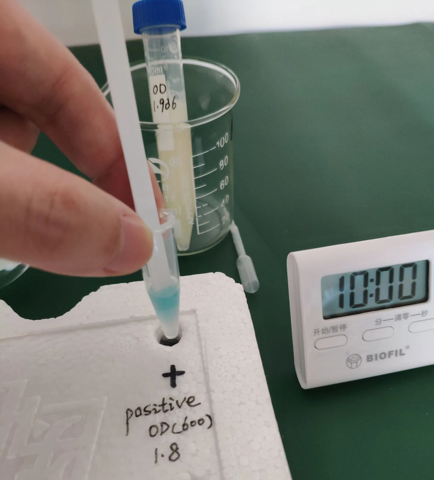 Coliform Escherichia Test Kit In Drinking Water E Coli Reagent Strip