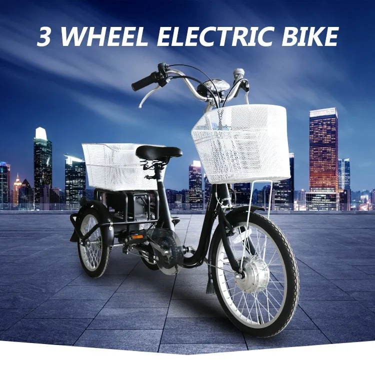 handicapped electric tricycle