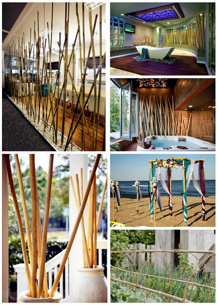 Dry Bamboo Sticks For Decoration Buy Bamboo Sticks,Sticks For