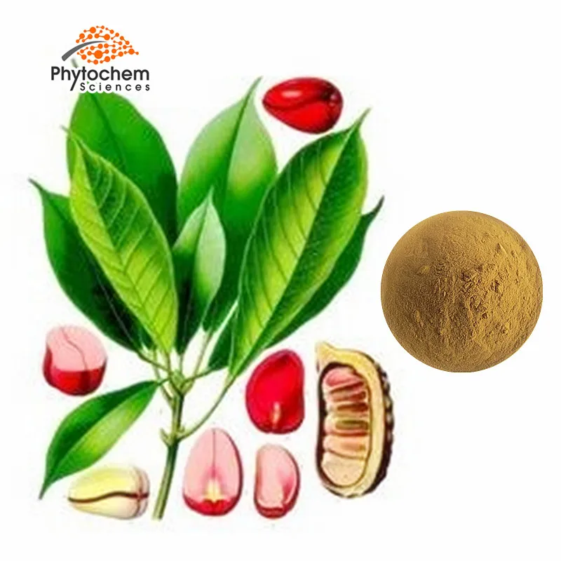 Buyers Competitive Cola Acuminata Kola Nuts Extract Seed Powder Bitter