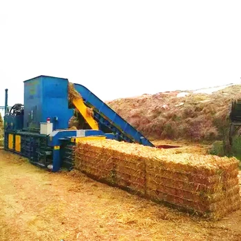 Wheat Straw Jack Frost Landscapes Garden Center