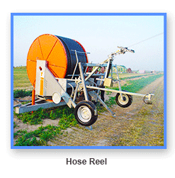 automatic plant irrigation system