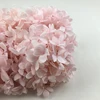 preserved natural flower hydrangea flowers wedding decoration preserved flower hydrangea