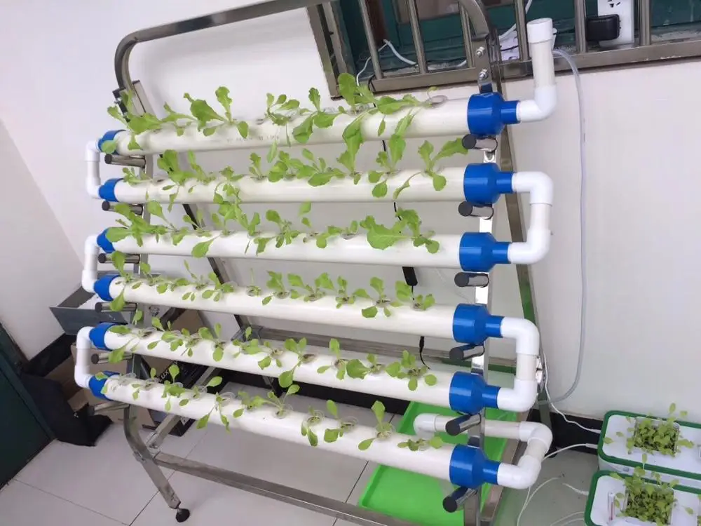 Hidroponía en El Jardín y en La Oficina Tubería Hidropónica de PVC Kit de Hidroponía 108 Sitios 12 Mangueras. Kaibrite Kit de Hidroponía para Verduras Verduras de Hoja en Casa Jardín brandknewmag.com