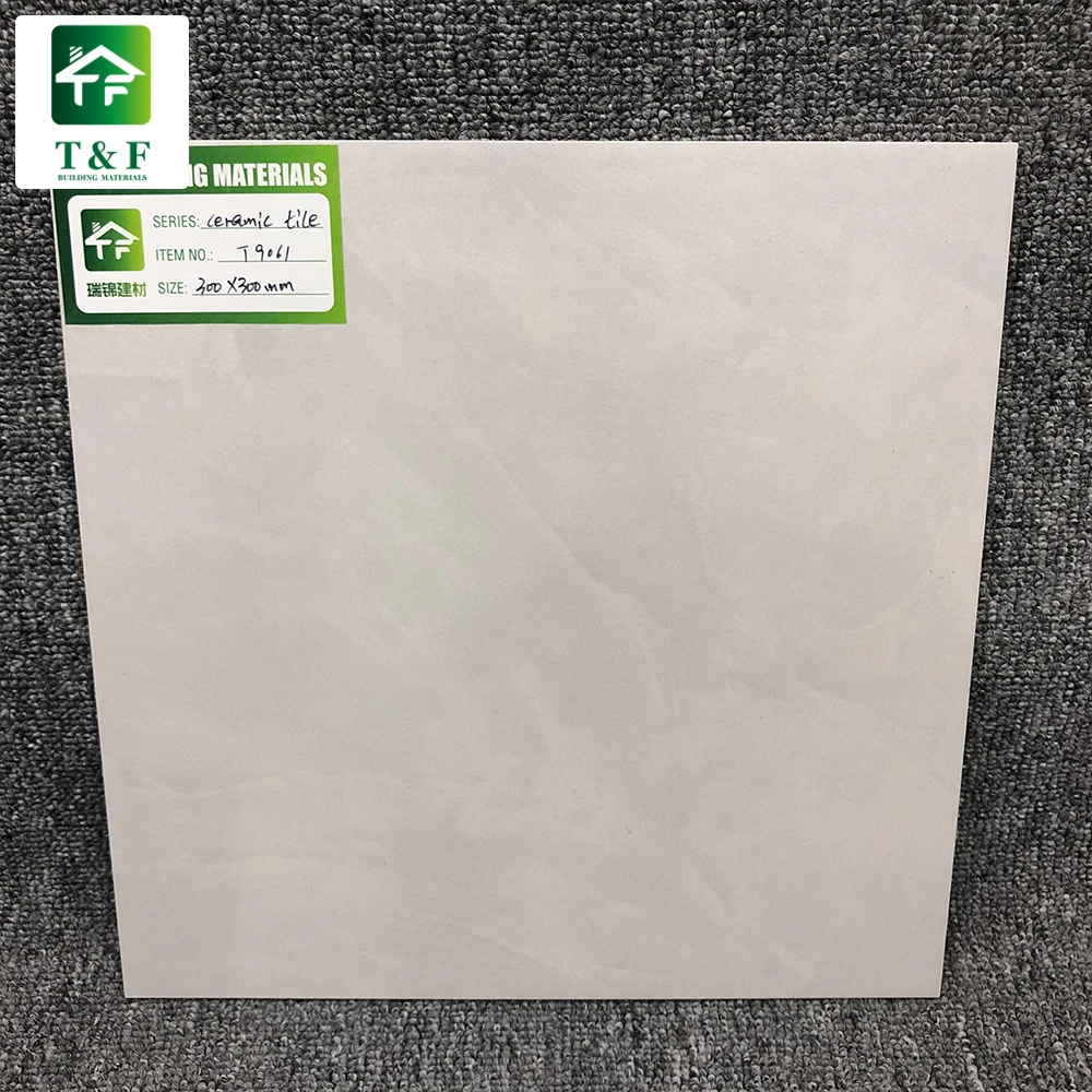 Beige 300x300 Square 10mm Think Tiles Floor Ceramic Porcelain 300 X ...