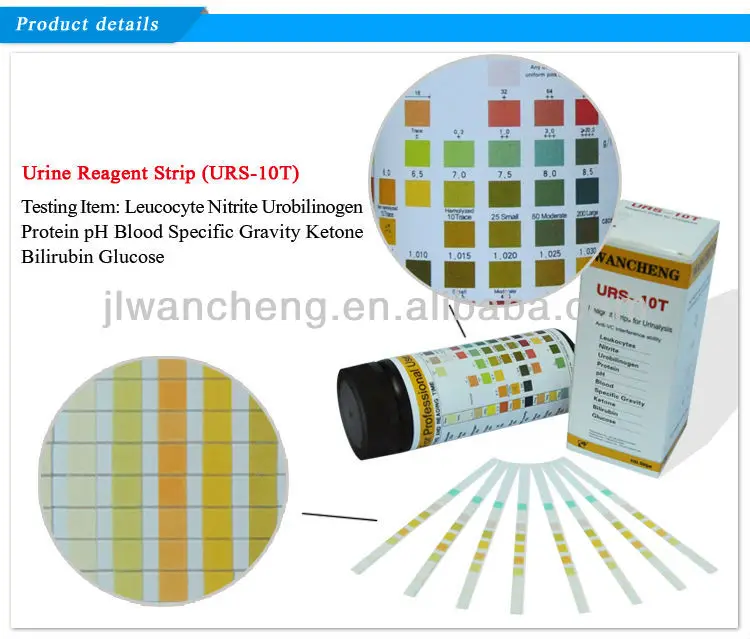 Medical Lab Urine Test Kit 10 Parameters Urine Test Strips Buy Urine