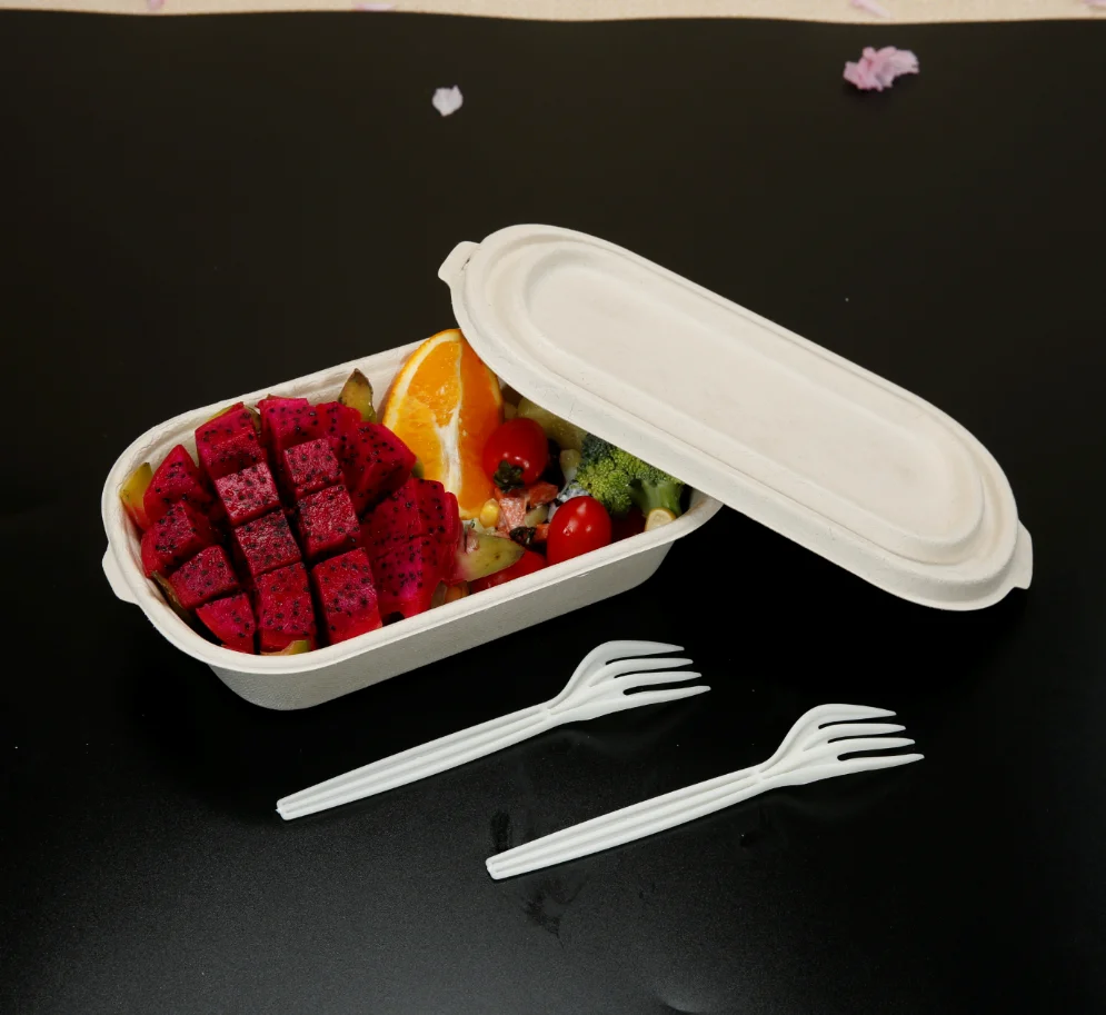 850ml Large Disposable Noodle Bowl Unbleached Sugarcane Pulp Bowl Buy