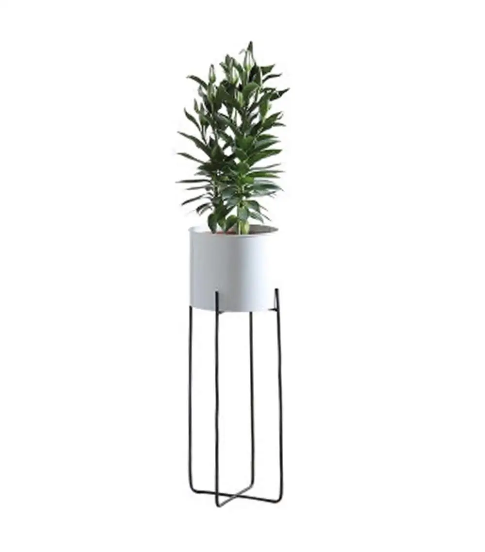 Cheap Tall Metal Plant Stands Find Tall Metal Plant Stands Deals On Line At Alibaba Com