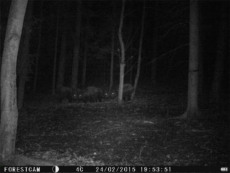 full HD long dstance night vision range 25 meters battery 1080P hunting game camera