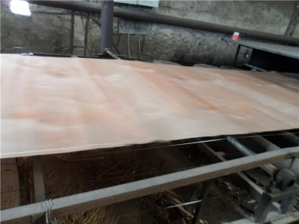 chinese low price natural gurjan veneer ,PLB veneer, for india market