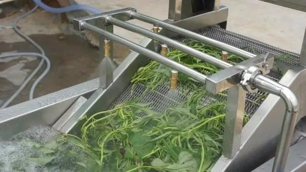 Vegetable Washing Equipment 