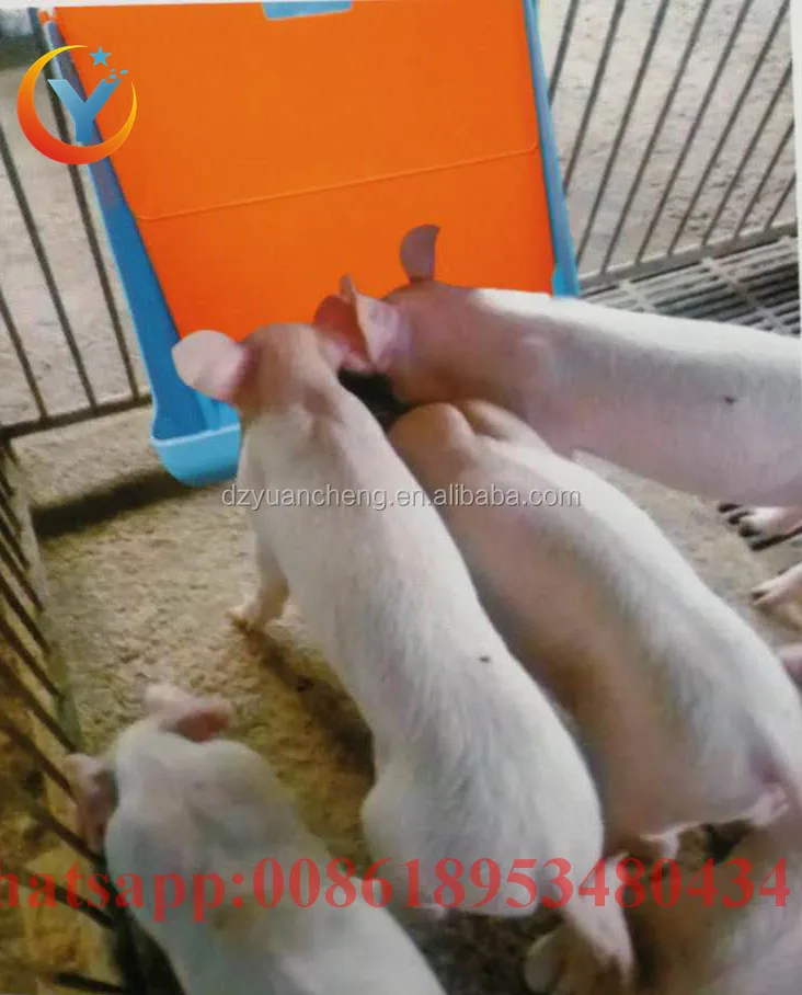 4 Holes Automatic Pig Feeder For Pig Poultry Plastic Nursery Pig Feeder