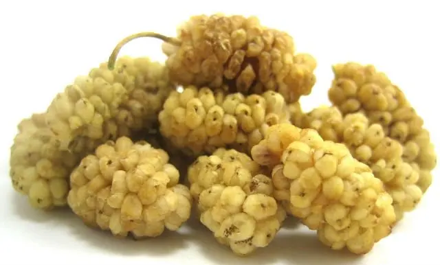 dried white mulberry