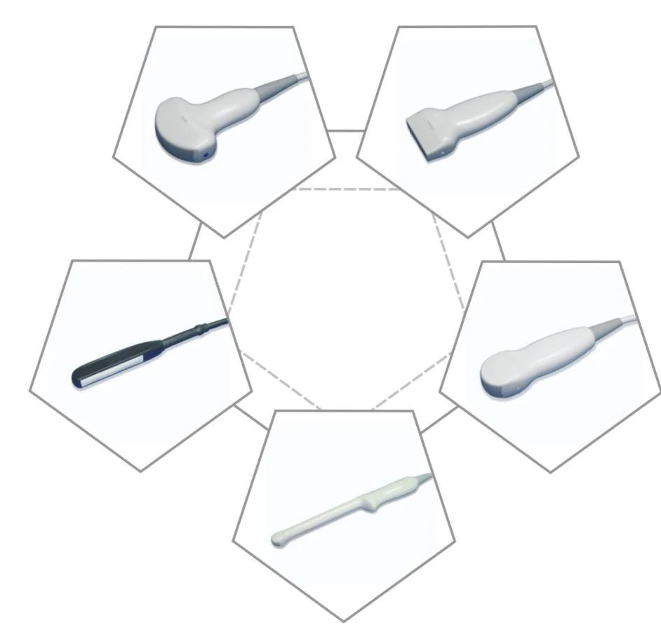 SA51353A LCD vet -23.JPG