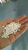 the most hot sell pure white color book spine glue for press bookbinding