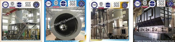 double conical revolving vacuum dryer