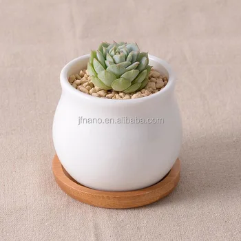 Latest Design Small White Ceramic Planter Pot With Bamboo Tray Latest Design Small White Ceramic Planter Pot With Bamboo Tray