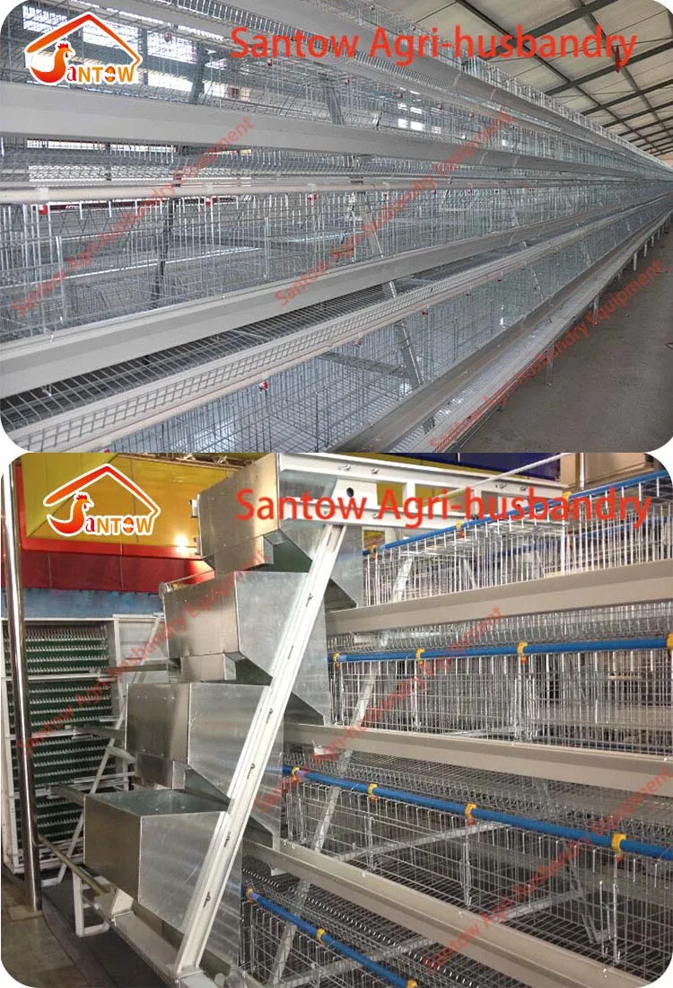 Hot Galvanized Chicken Poultry Cages Cold Galvanized Chicken Layer Cage Best Quality For Sale Nigeria Africa