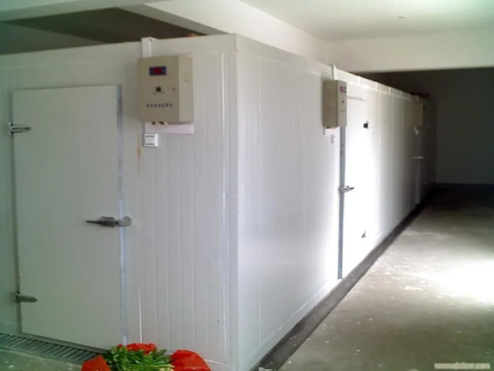 Made in Guangzhou cold room for ice fruit vegetable meat flower fish storage