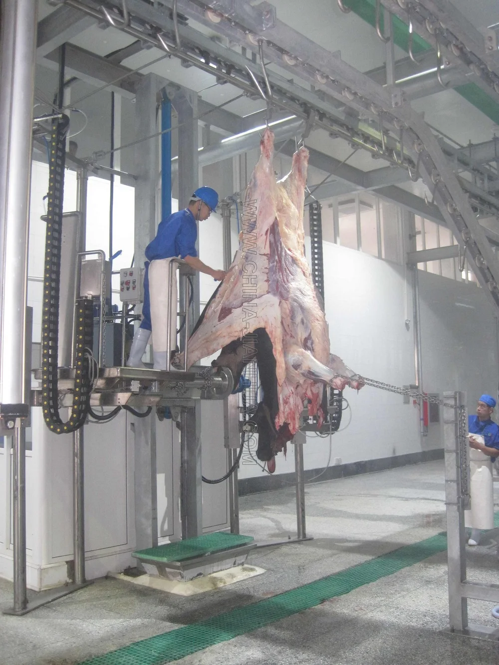 Hala Complete Cow&buffalo Slaughter House /plant For 100 Heads Per Day