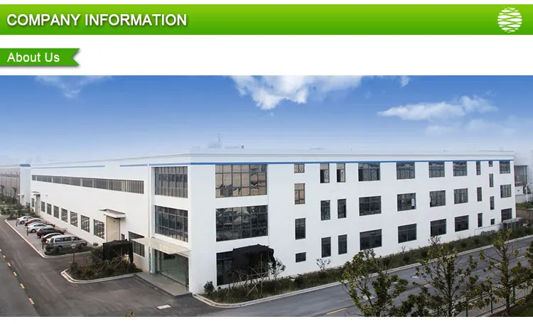 9.Company Information-01.jpg