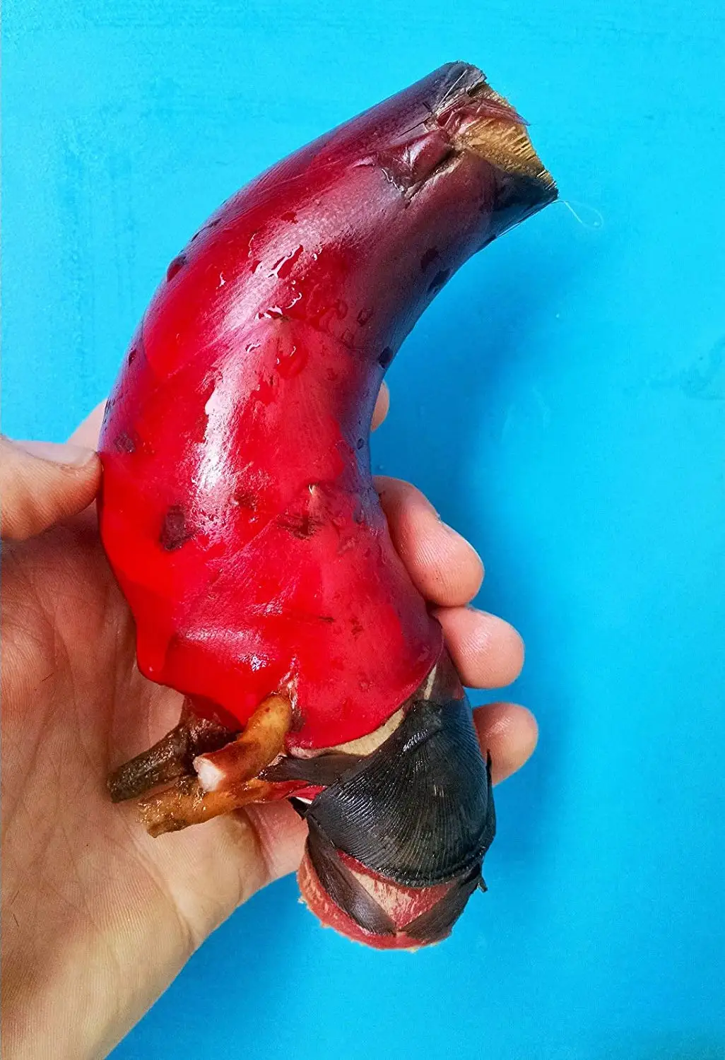 25 Premium Quality Hot Cheiro Roxa Pepper Seeds Organiclly Grown-D 55