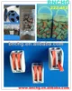 Hot Sales 222 series Delphi PA66 Connector for Building Installation