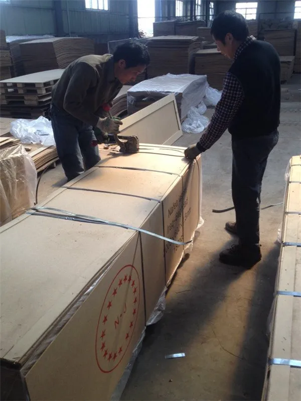 HDF Moulded Door Skins(fancy,veneer,melamine)
