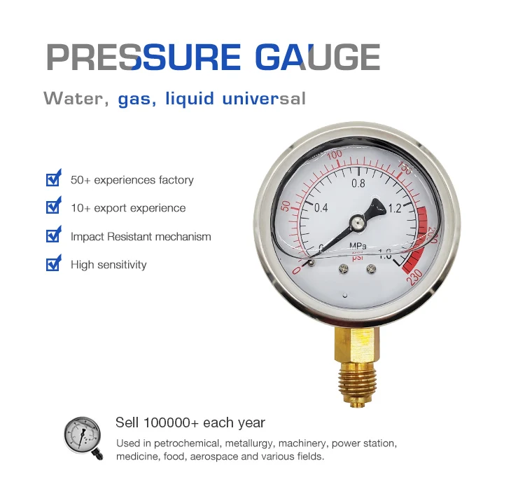 Nitrogen Gas Pressure Gauge Case Accuracy Class 2.5 1.6 - Buy Pressure ...