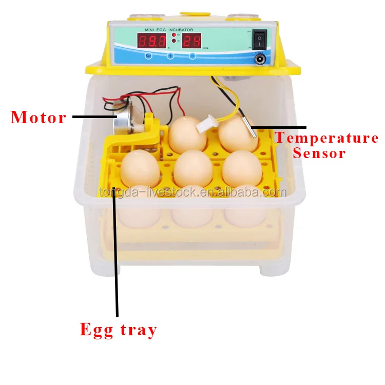 Мини инкубатор купить. Инкубатор аппарат 526шт. Инкубатор для яиц автоматический на 64 яйца китайский из пенопласта. Инкубатор пенопластовый. Инкубатор для 8 яиц.