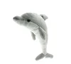 Cute Small Dolphin Adorable Present or Dolphin Party Gift