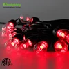 Weatherproof Indoor/Outdoor Color Changing Cafe String Lights 48ft with RGB 24 bulbs. Wireless remote bulb string