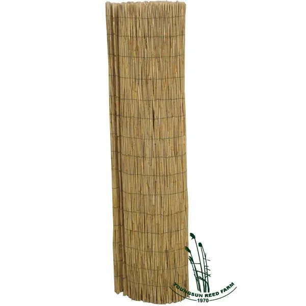 gardening reed fencing.jpg