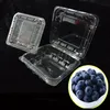 Blueberry Plastic fruit container