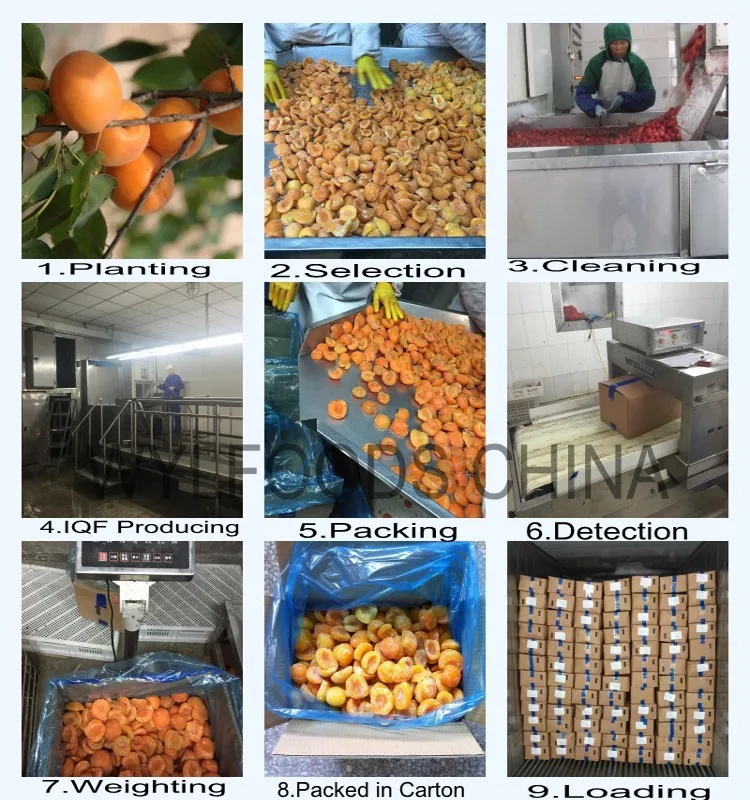 Producing Flow-Apricot Half