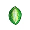Wholesale special shape dish colorful tableware plastic melamine banana leaf plate
