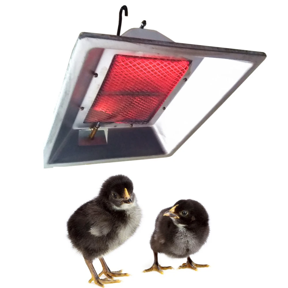 chicken gas heater