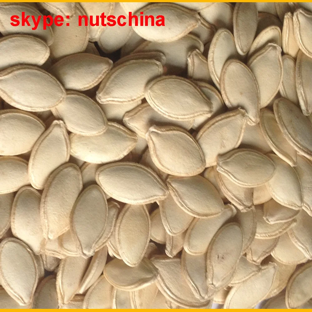 Organic Dark Green Pumpkin Seeds Gws(grown Without Shell) Aaa/aa / A