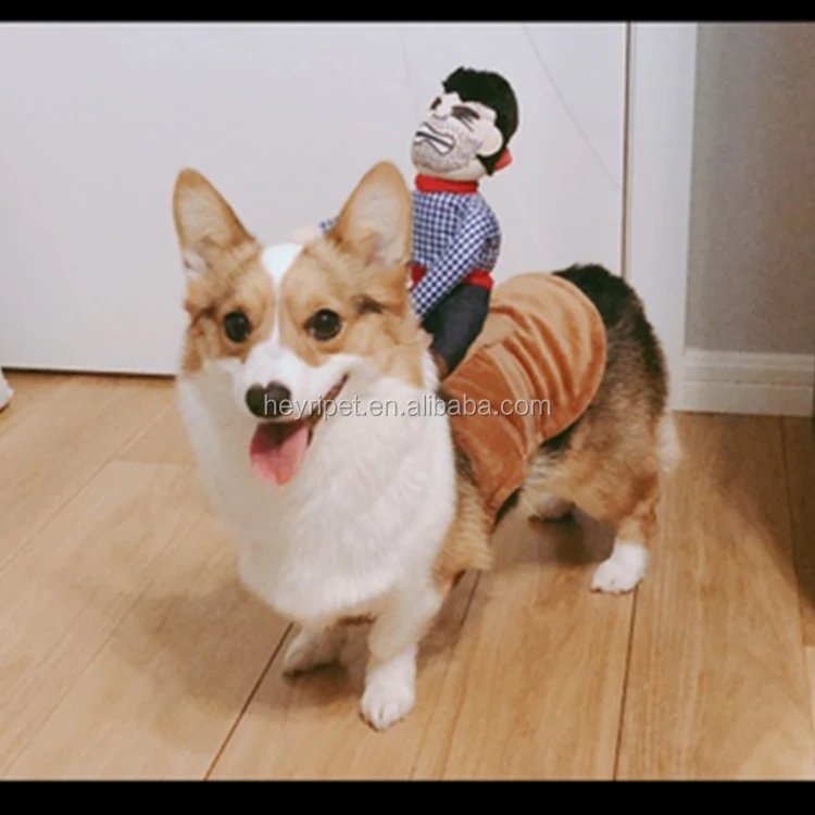 dog costume1.jpg