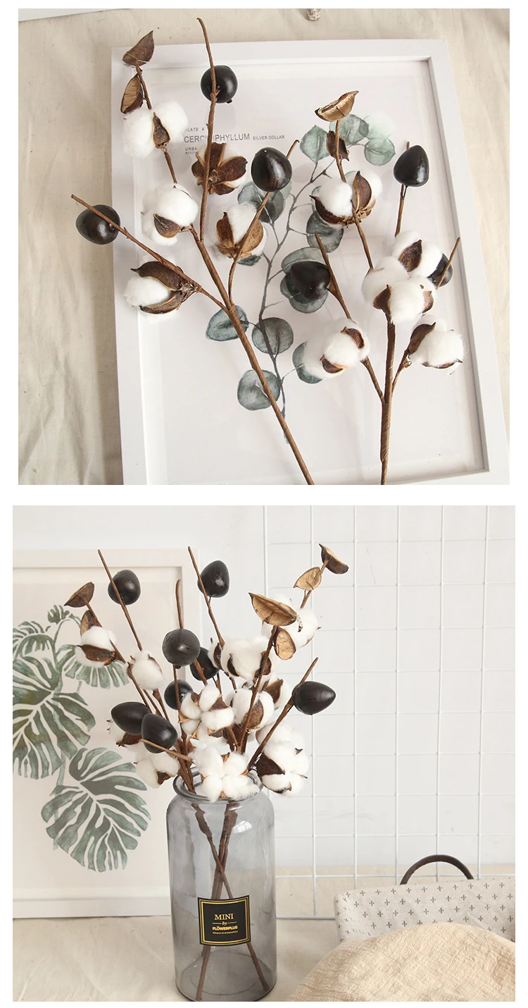 Preserved Foliage Dried Natural Cotton Stalk Real Cotton Ball Cotton Stems Buy Dried Flower