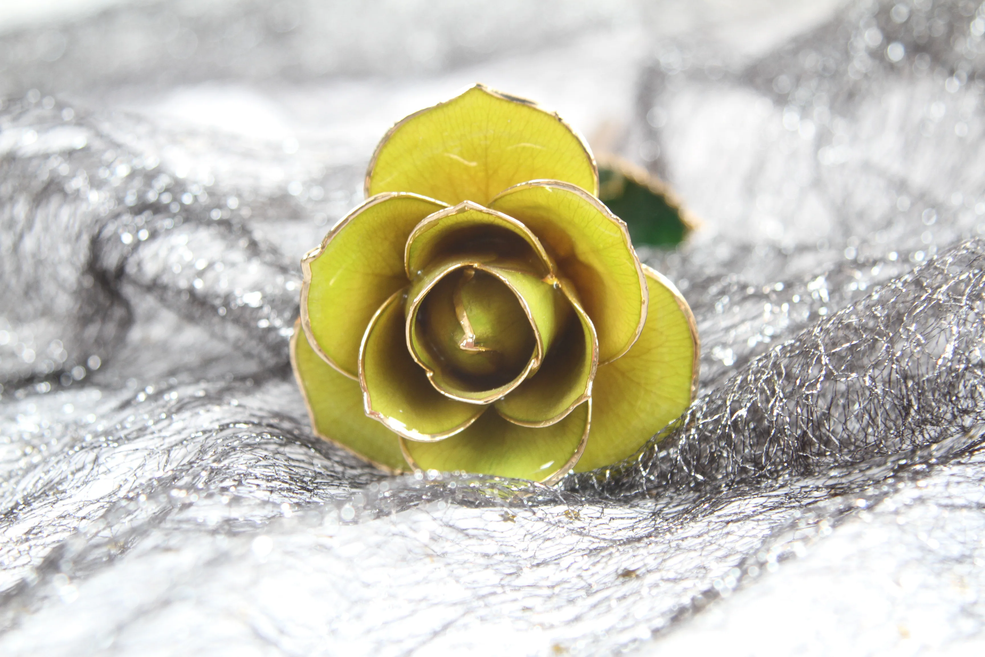 24k Goldplated Rose Paint Rose Flower For Birthday Valentine's