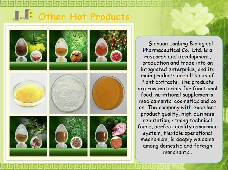 Hot Sale Plant Extract Watermelon Concentrate/watermelon Fruit Extract