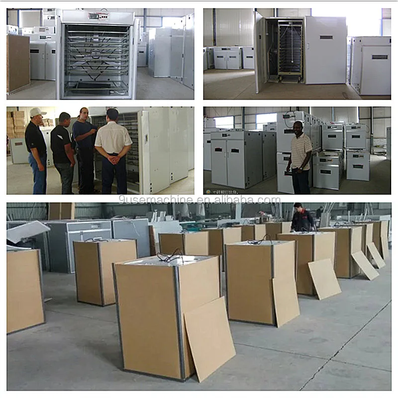 incubator egg for 100000 egg